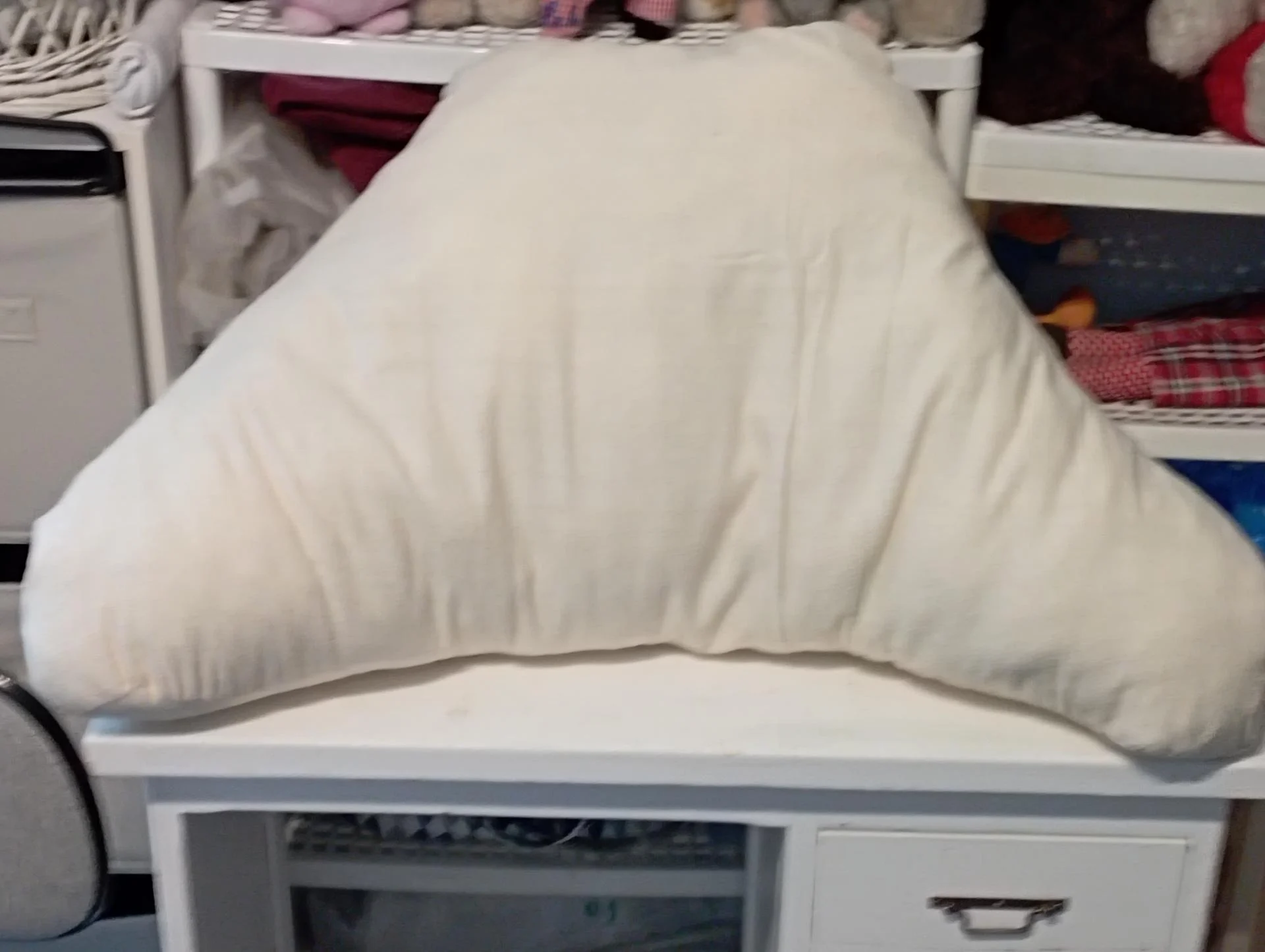 PETIT COUSSIN DE LECTURE